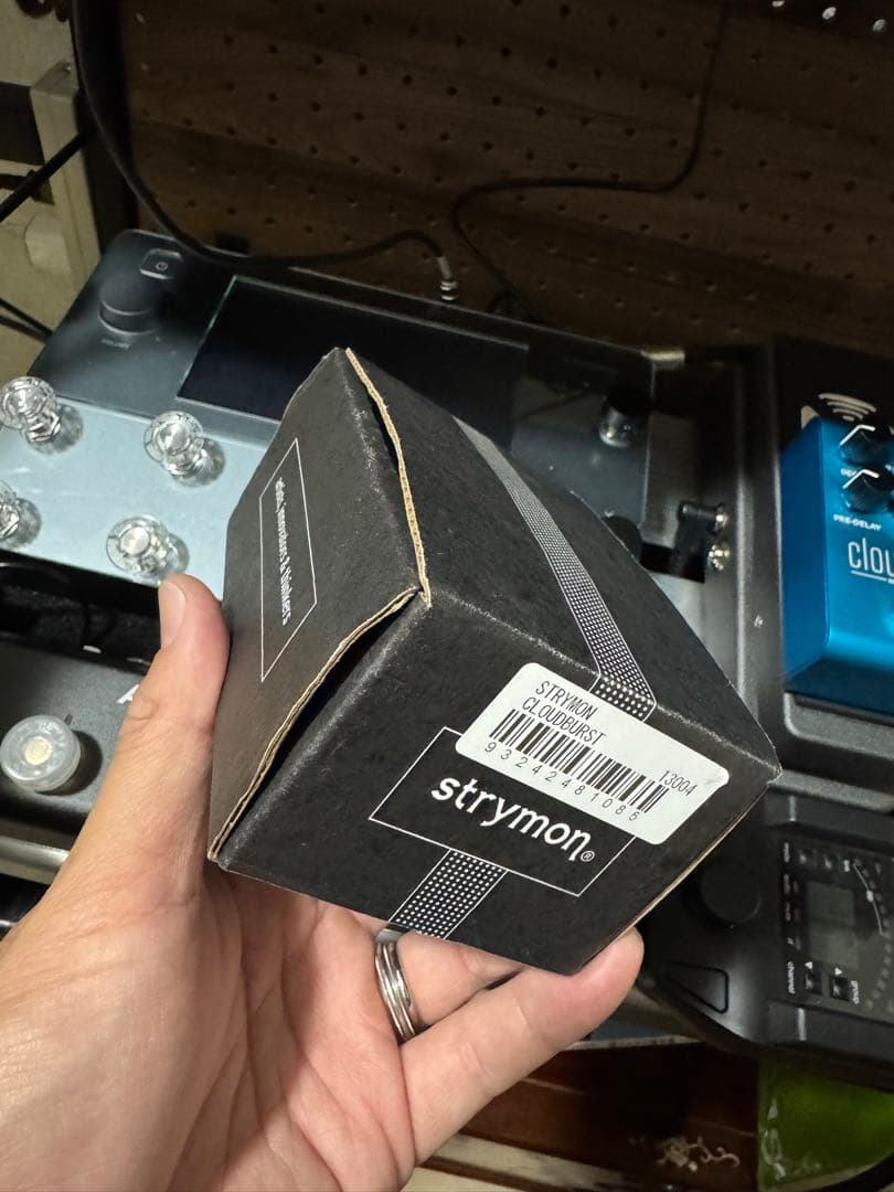 Strymon cloudburst クラウドバースト　GW最終値下げです