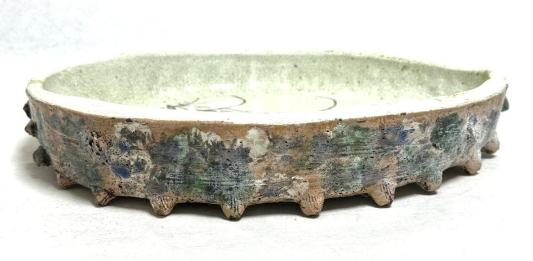 古美術 大振り鮑貝形水盤 花器 華道具 ウブ品 日本古玩 伝世品焼WWTT127