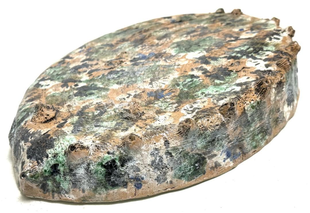 古美術 大振り鮑貝形水盤 花器 華道具 ウブ品 日本古玩 伝世品焼WWTT127