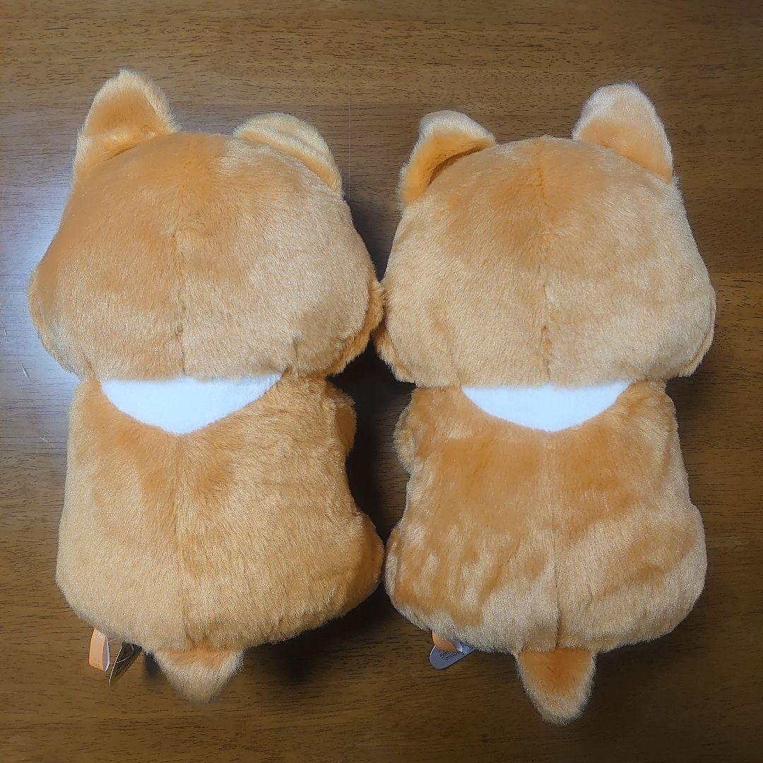 まるまるコーギー BIGぬいぐるみ2 ハート ドーナツ コーギー ぬいぐるみ 犬