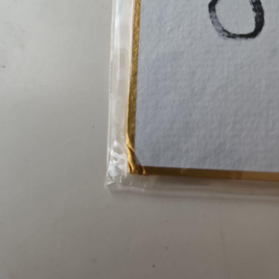 遊星天使プリマヴェール 渚役 八尋まみ サイン 非売品