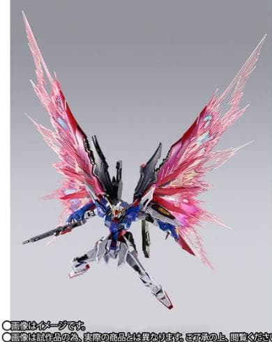 初*カ様 L BUILD デスティニーガンダム（フルパッケージ）