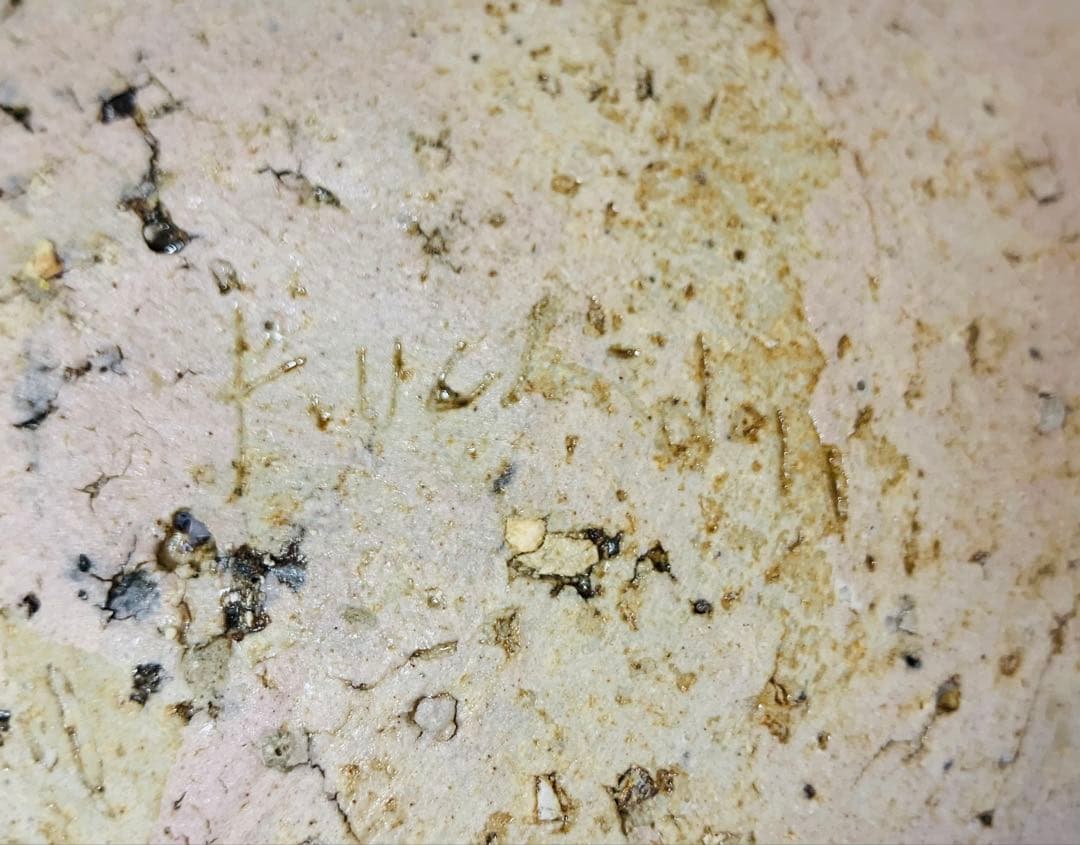 内田鋼一　加彩　ボウル　bowl 花器