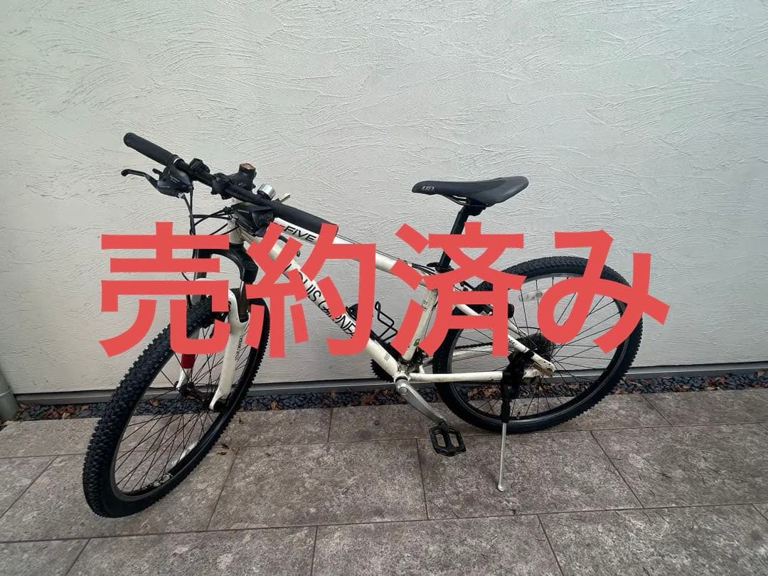 LOUIS GARNEAU マウンテンバイク ホワイト　整備済み⚠️引取りのみ