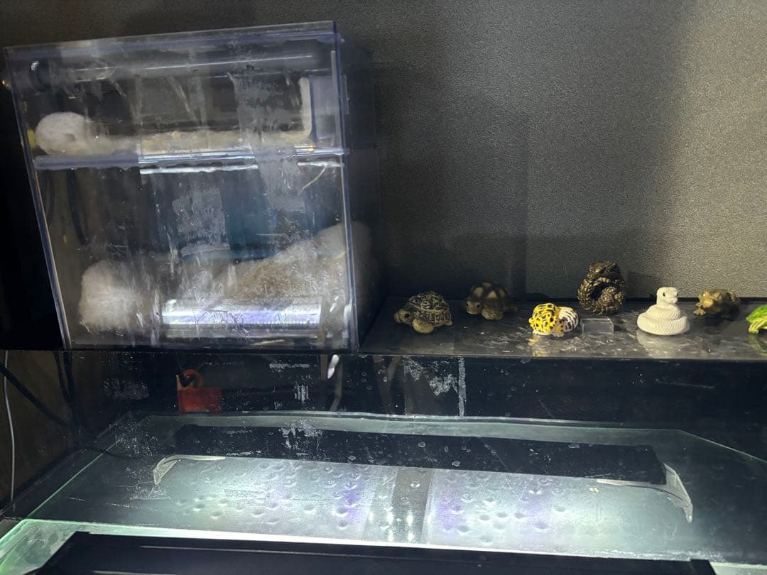 アクリル水槽　ぷぅ工房