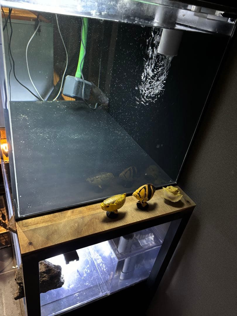 アクリル水槽　ぷぅ工房