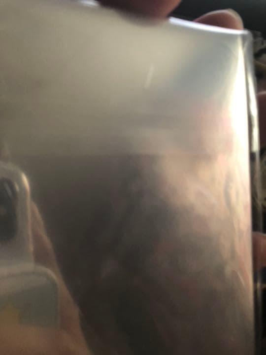 五等分の花嫁 二乃 スリーブ