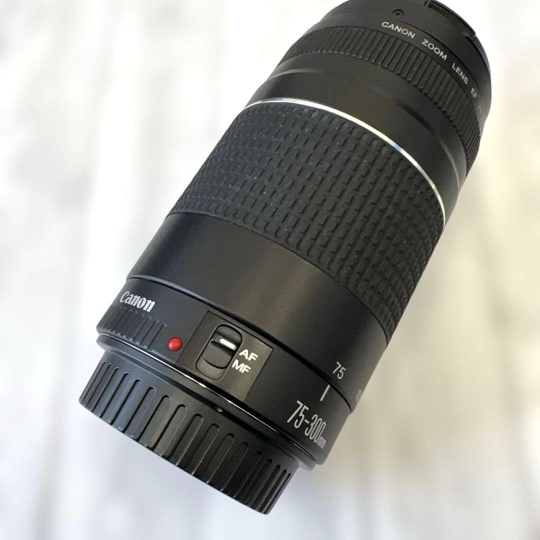 Canon 75-300mm ズームレンズ