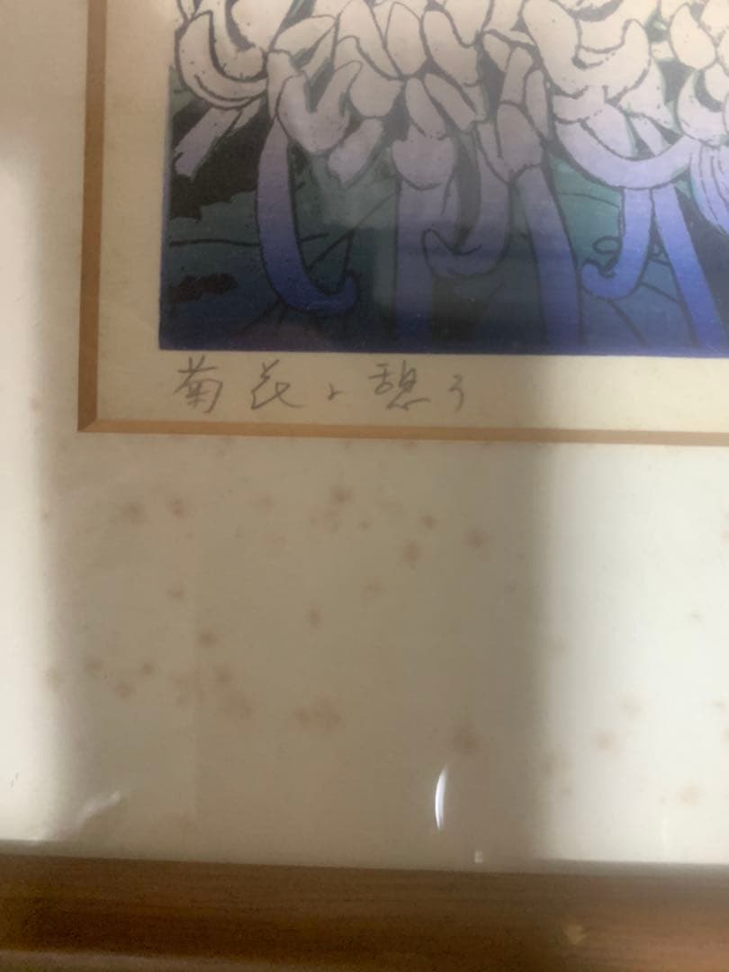 吉田千鶴子 木版画「菊花に憩う」