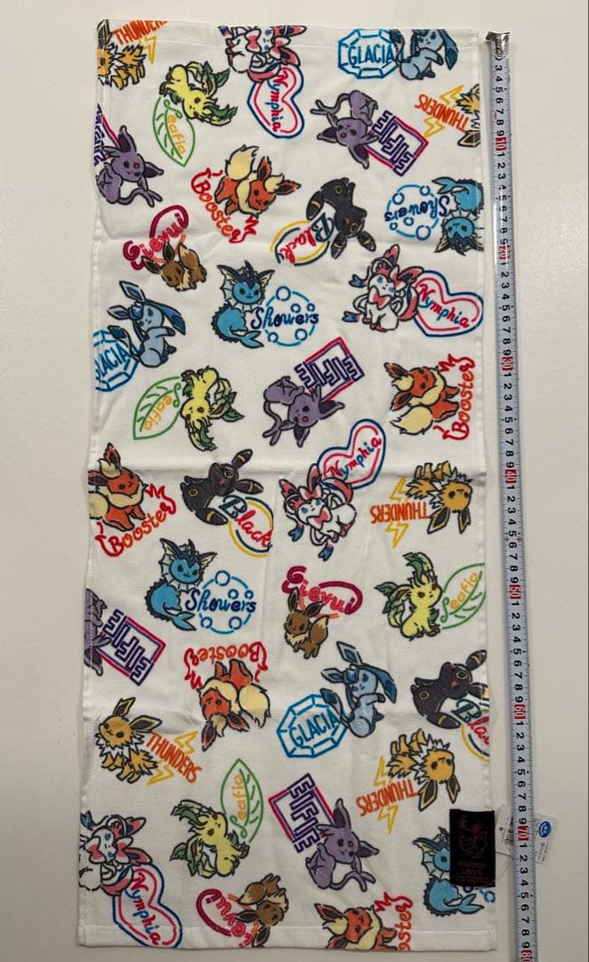 イッツデモ　ポケモン　フェスタオル　ハンドタオル　2点セット