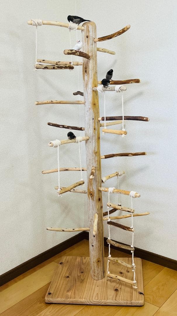 【中型鳥用】ブランコ＆はしごで楽しいバードアスレチック