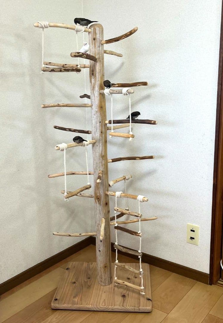 【中型鳥用】ブランコ＆はしごで楽しいバードアスレチック