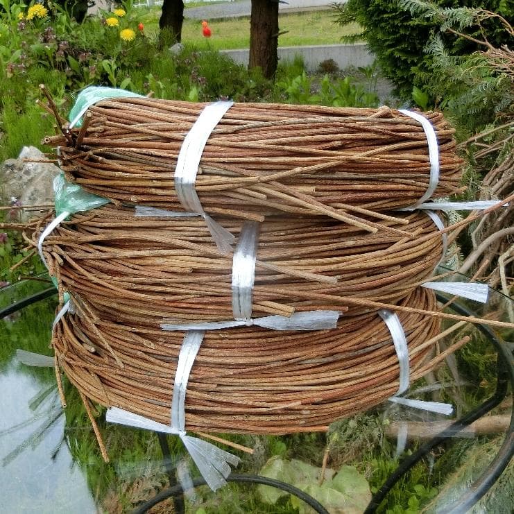 エミリー　青森岩木山　あけび蔓　150cm～ 3kg