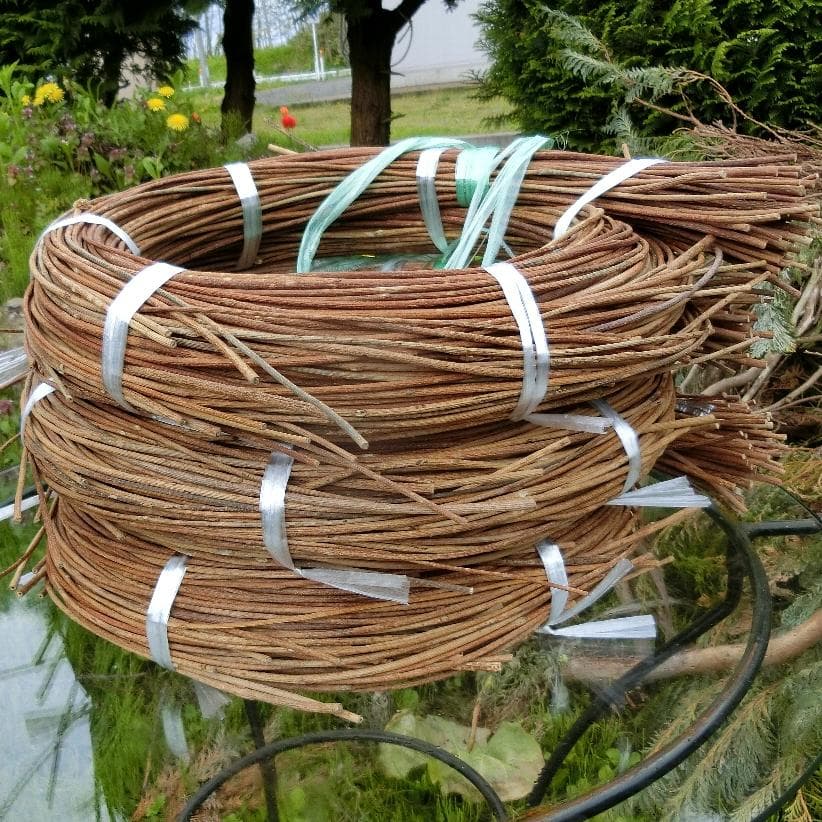 エミリー　青森岩木山　あけび蔓　150cm～ 3kg