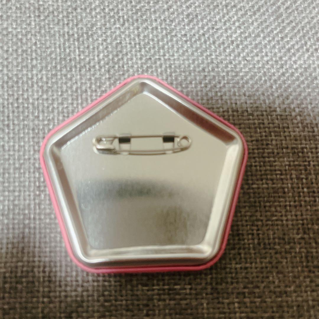 第五人格　五角形缶バッジ　あにまる　美智子