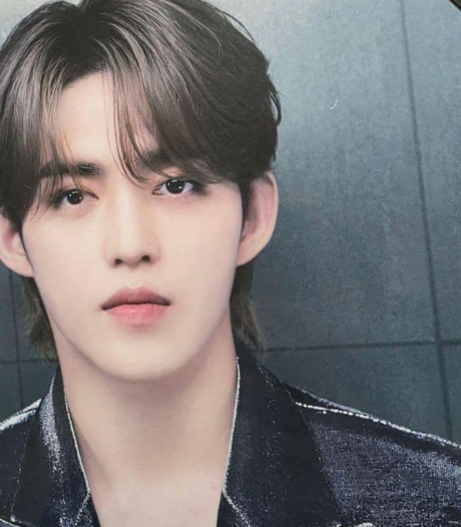 SEVENTEEN エスクプス うちわ 5枚