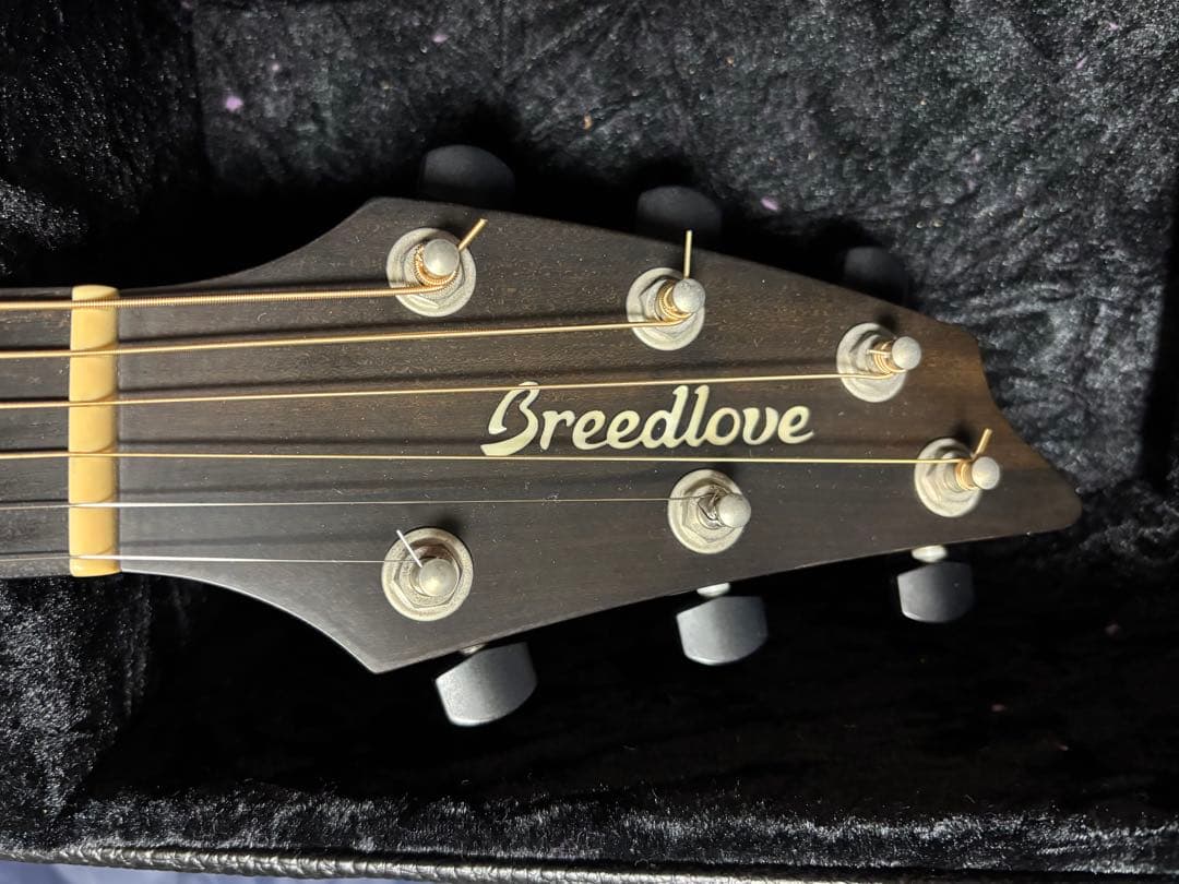 本日明日中金額 Breedlove Premier Concert CE USA