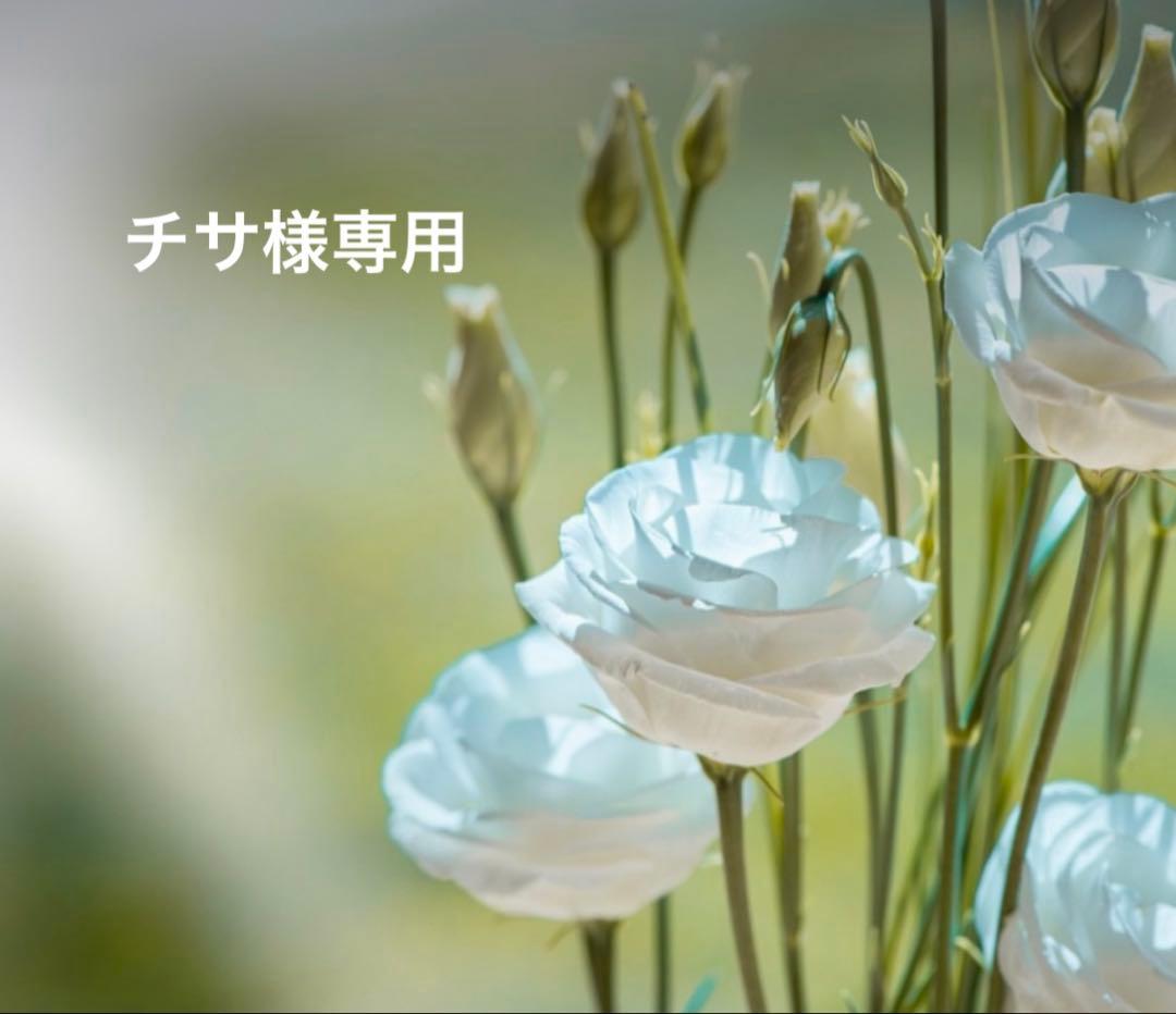 チサ 新品タグ付き⭐︎マックス&コー　ネイビー　ショートパンツスカート