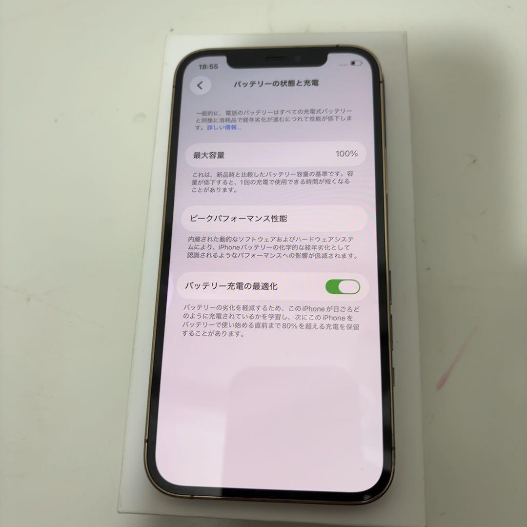 訳あり　早い者勝ち　[SIMフリー] iPhone 12pro 256GB