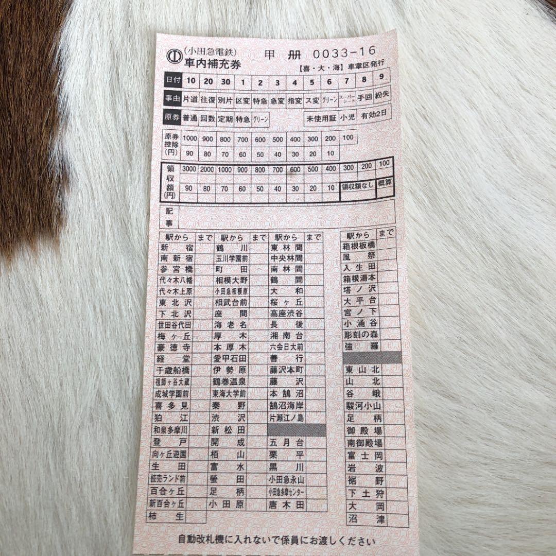★鉄道★ 運賃表・車内補充券・切符パンチ・パンチケース　　⑦