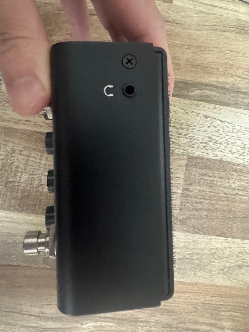 【めだかさん専用】Strymon IRIDIUM アンプ & IR キャビネット