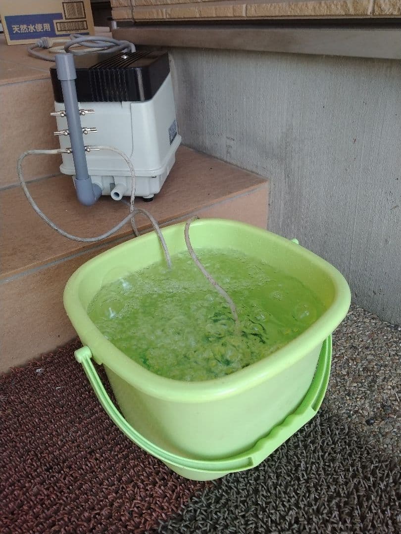 【安永(EP-80E-L)80L】 197 エアポンプ　ブロワ　浄化槽