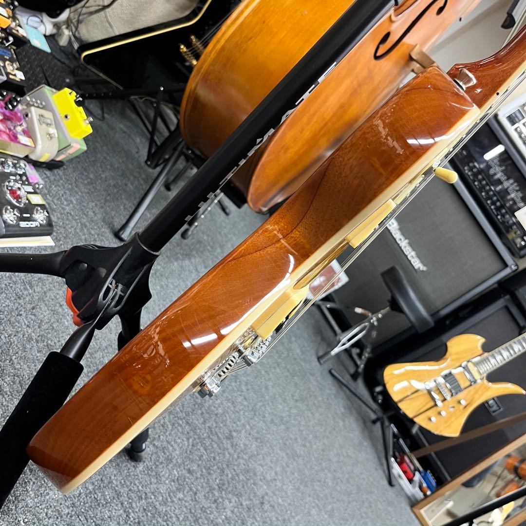 【11086】bacchus LIVE ROAD MODEL GOLD TOP