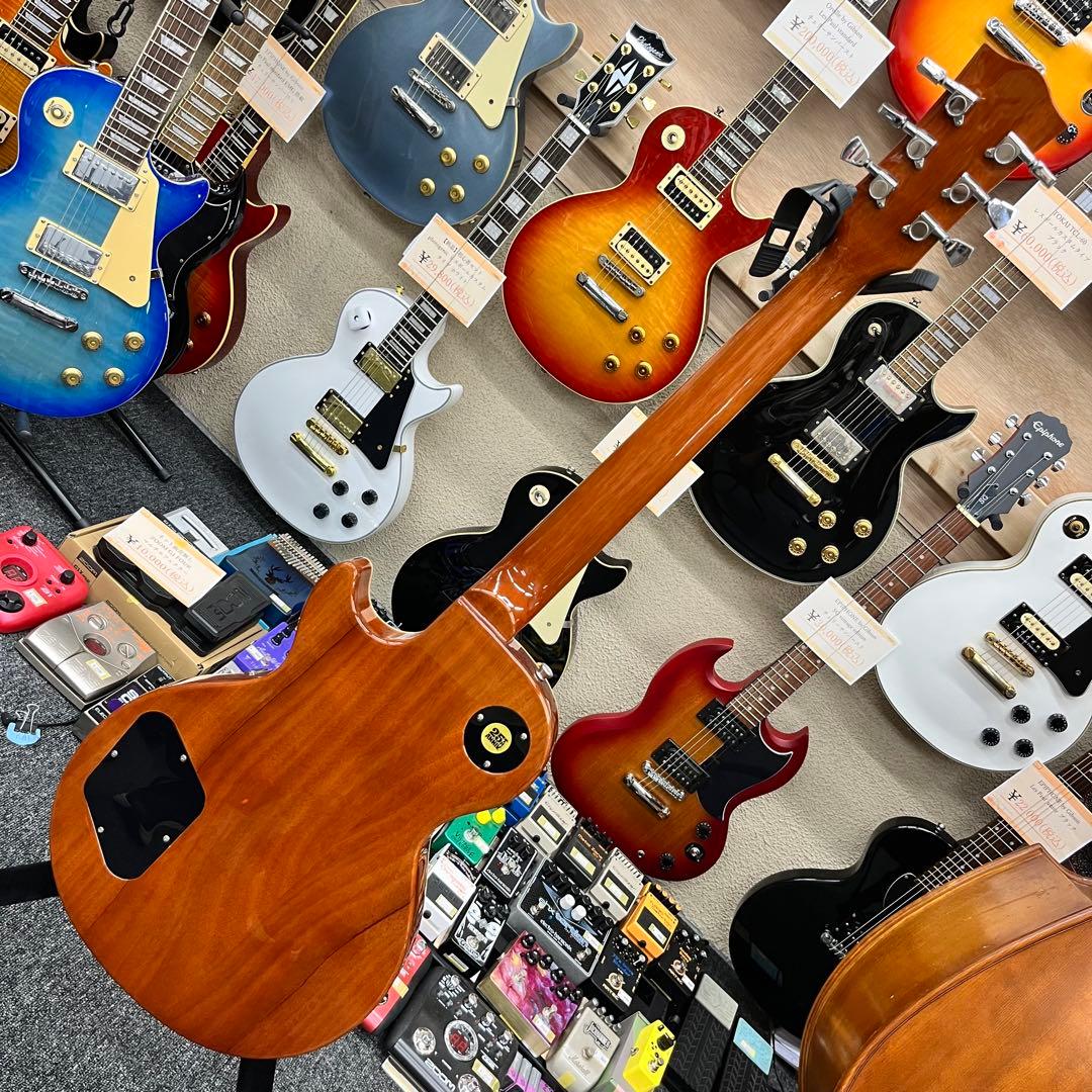 【11086】bacchus LIVE ROAD MODEL GOLD TOP