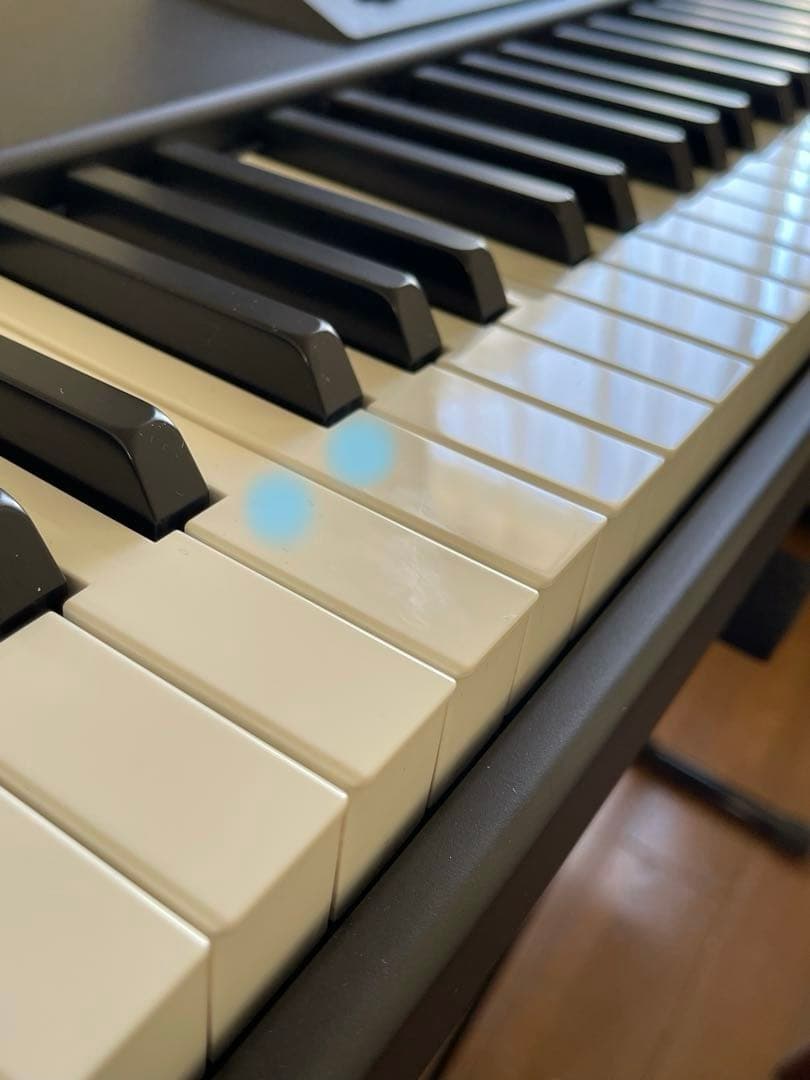 issei igarashiページ　直接受け渡しの為他の方はご遠慮願います