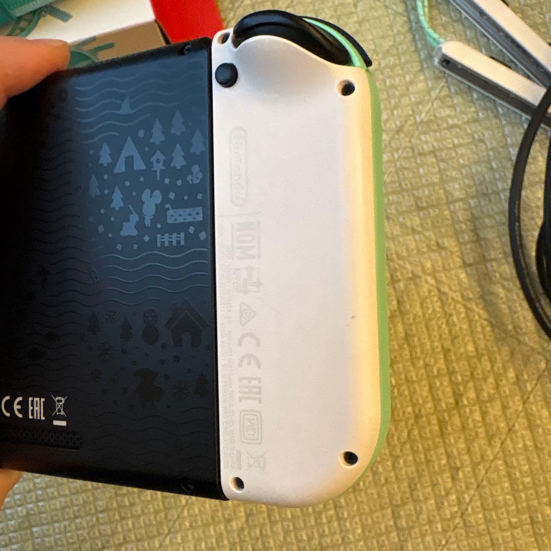 Nintendo Switch あつまれ どうぶつの森セット　ケース付き