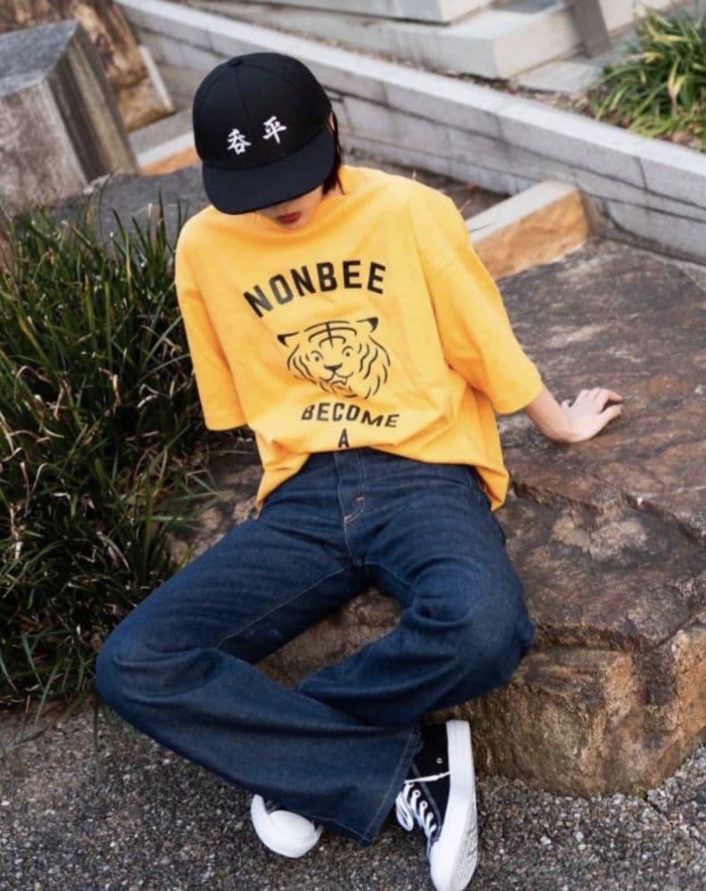 NONBEE 虎Ｔシャツ 完売品 岡田将生