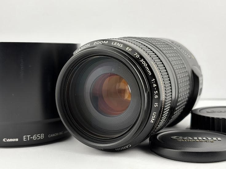 ★美品★キヤノン CANON EF 70-300mm F4-5.6 IS USM