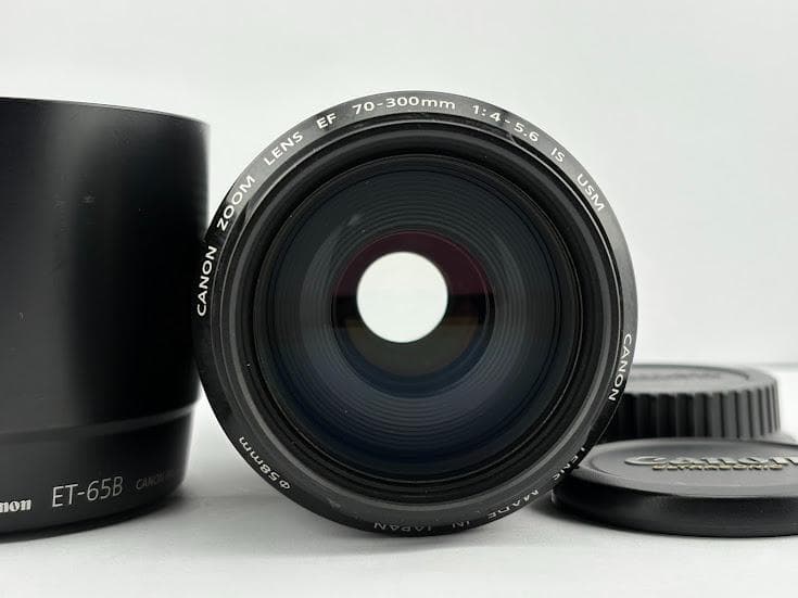 ★美品★キヤノン CANON EF 70-300mm F4-5.6 IS USM