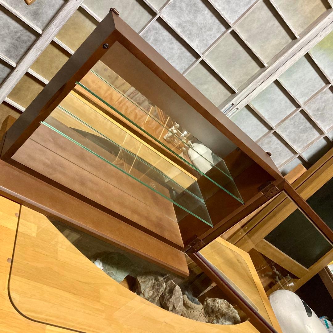 塩川光明堂 コレクションケース カルトーネ AL-A DB ガラスケース