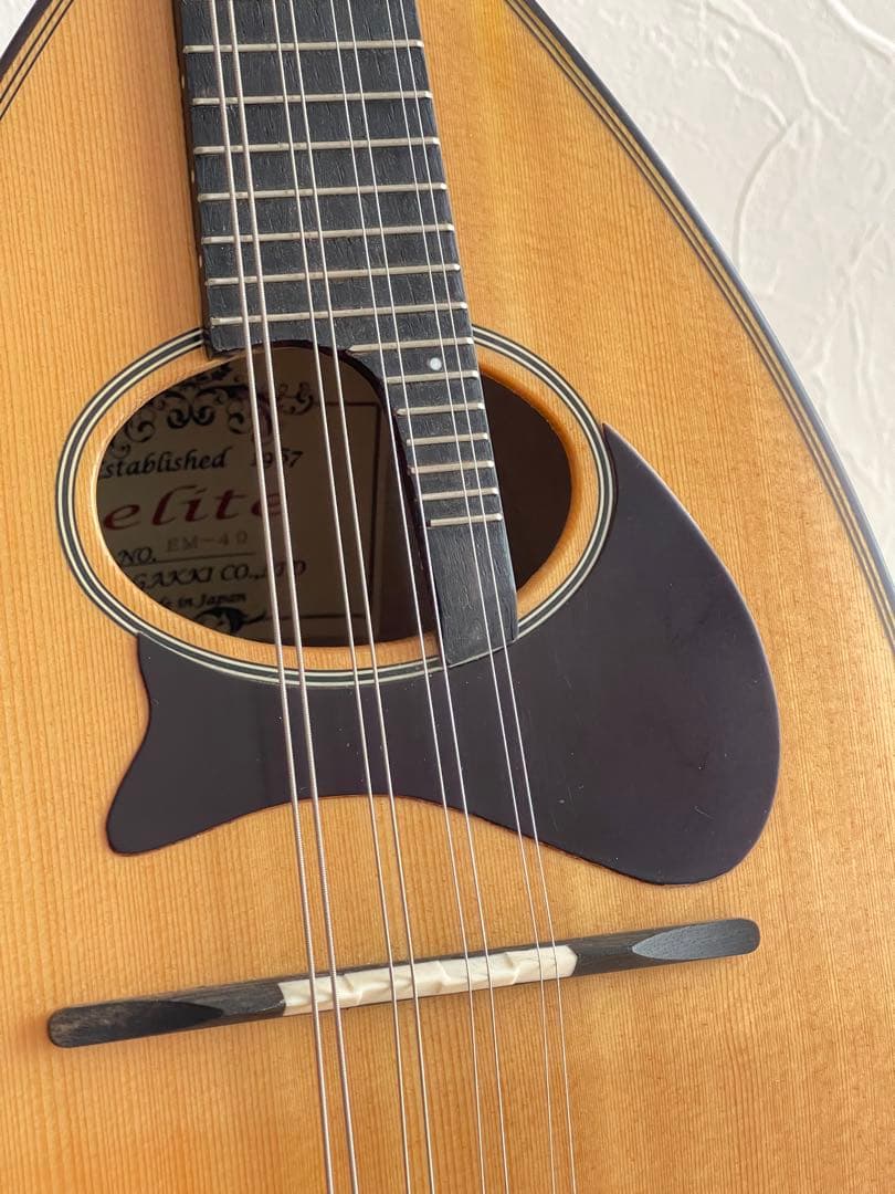 Ena Mandolin 恵那マンドリン EM-40