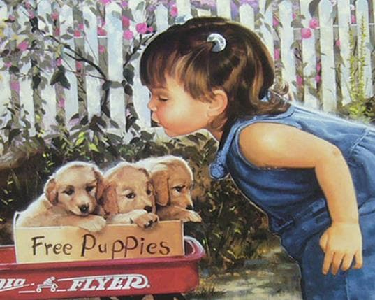 絵画 複製画 ドナルド ソラン ジャスミン フォーミー