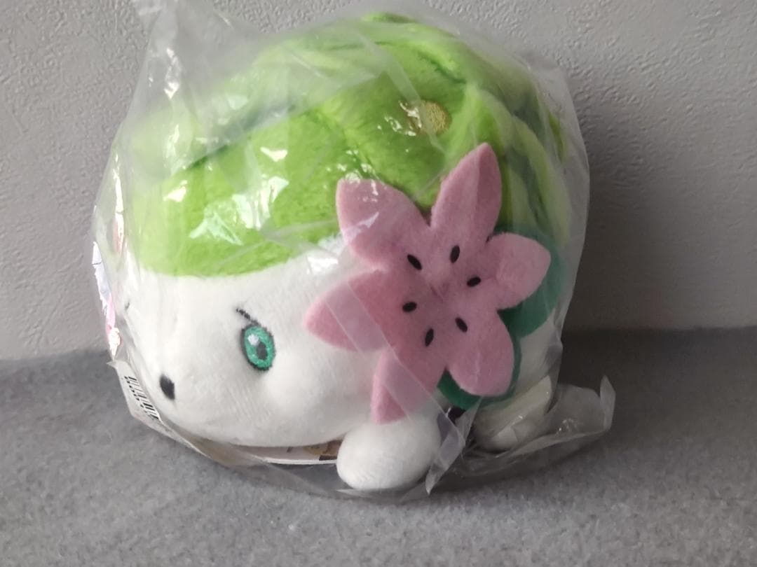 ポケモン　ぬいぐるみまとめて　フタチマル　マホイップ　ライチュウドール　他