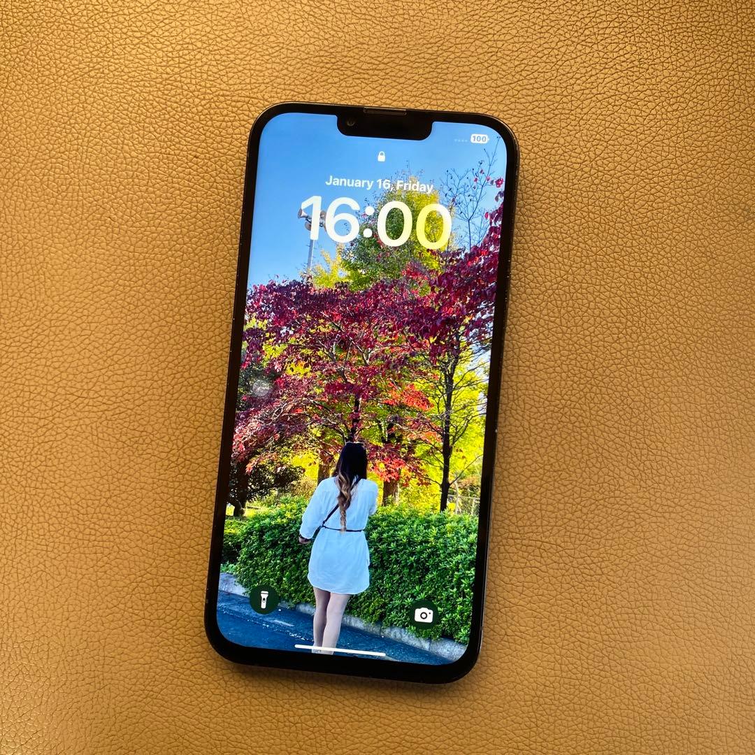 Y*3様 Apple iPhone 13 Pro Max 256GB リームーフ