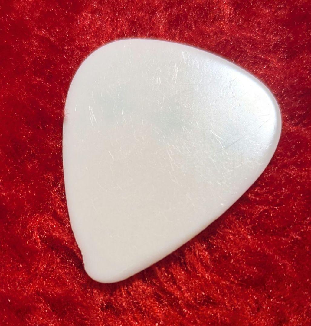 バンプオブチキン 藤原基央 本人私物 ピック