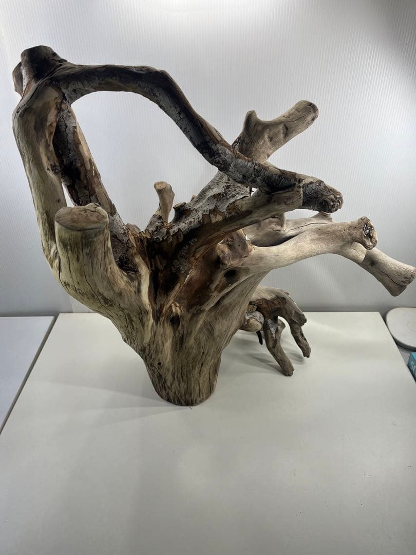 W21特大流木 アク抜き済み流木 爬虫類シェルター 止まり木 バードアスレチック