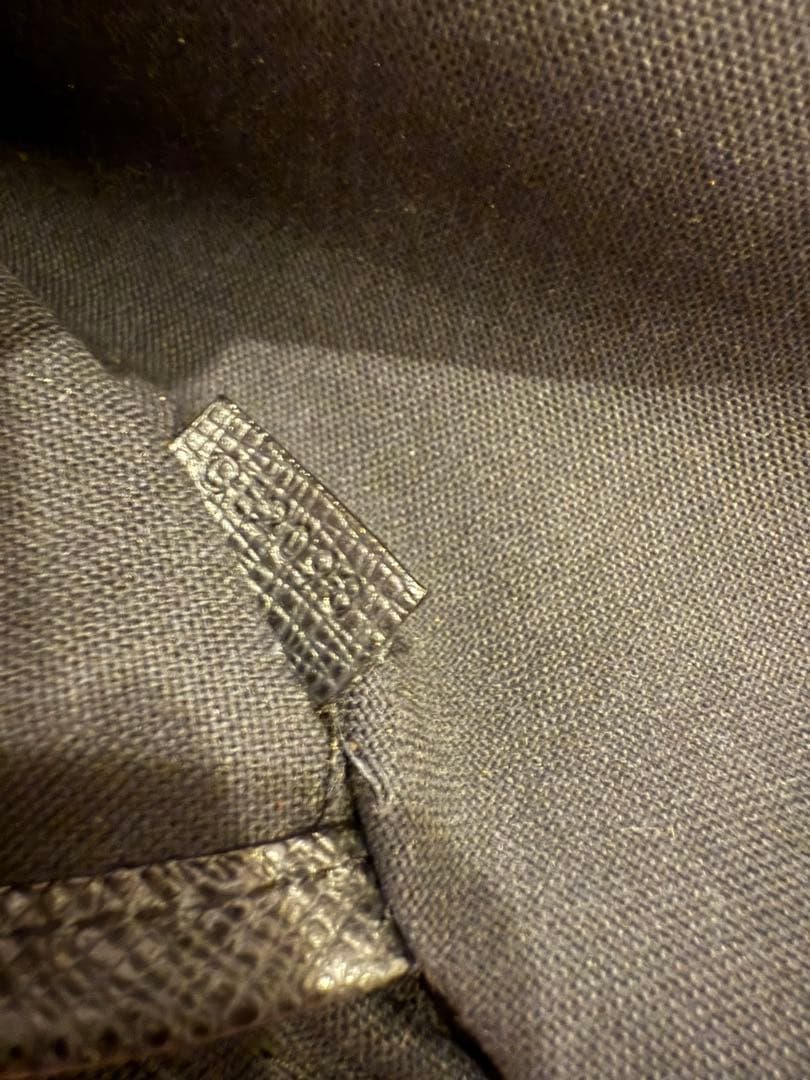 LOUIS VUITTON ルイヴィトン イゴール ビジネス バッグ タイガ