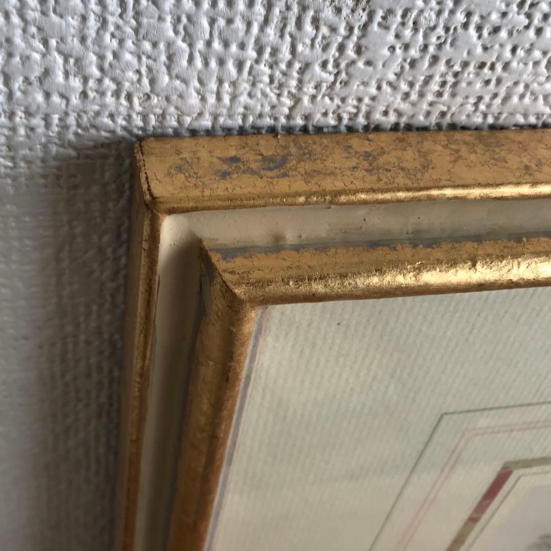 アンティーク　ボタニカルアート　イギリス