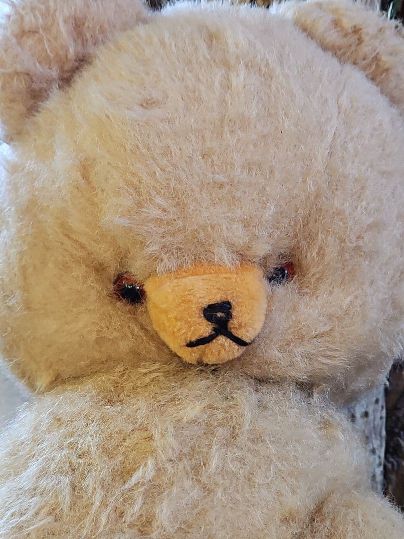 レア☆ DDRベア ベビーフェイスが可愛い大きな子 ʕ•ᴥ•ʔ