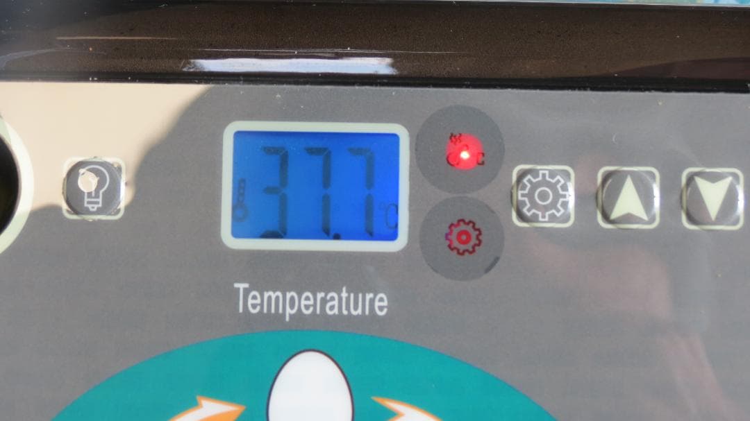 完動品自動転卵ふ卵器２台まとめて