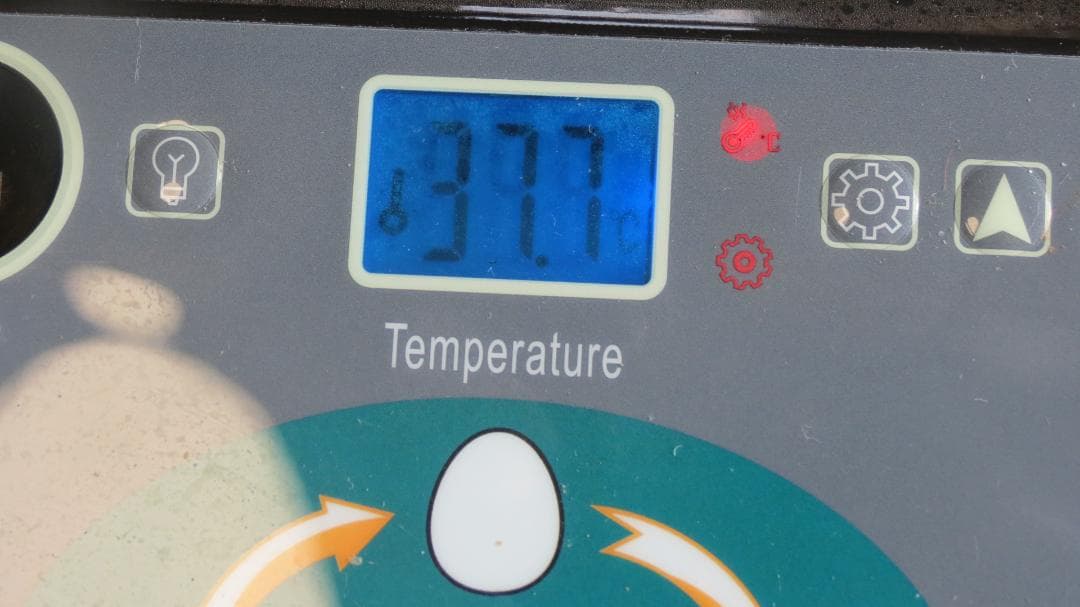 完動品自動転卵ふ卵器２台まとめて