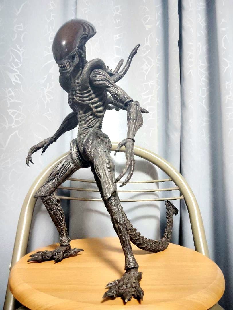 2006.HOTTOYS MM#017“AVP·Alien Warrior”