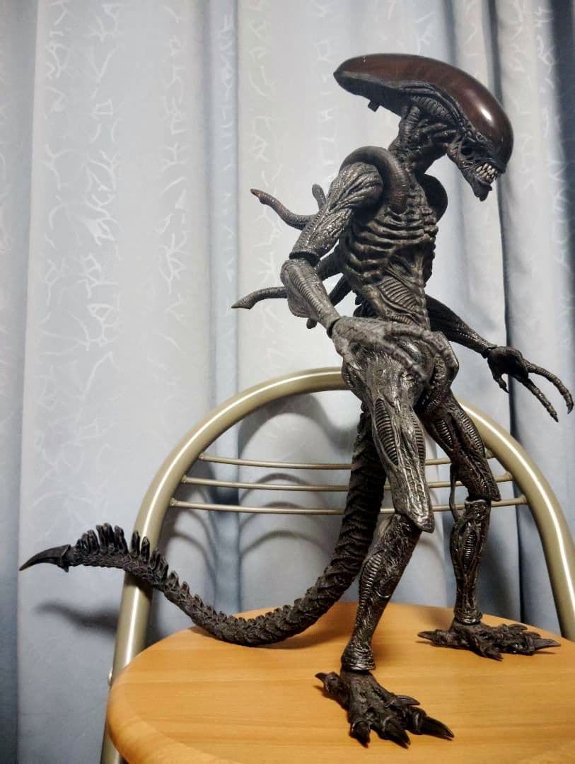 2006.HOTTOYS MM#017“AVP·Alien Warrior”