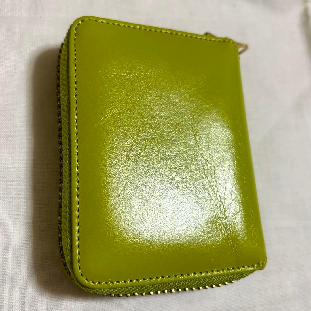 【Ray Beams ×STATUS ANXIETY】別注ウォレット