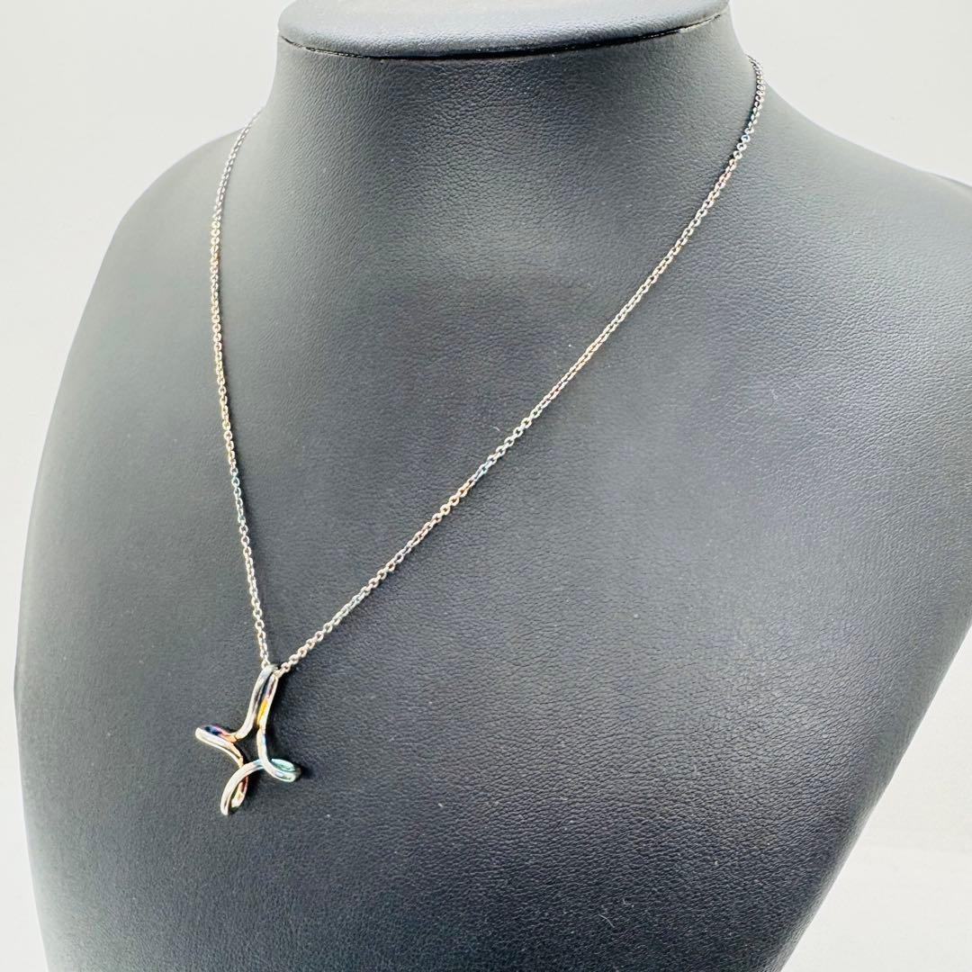 ✨Tiffany& Co.✨ティファニー✨インフィニティクロス✨ネックレス✨