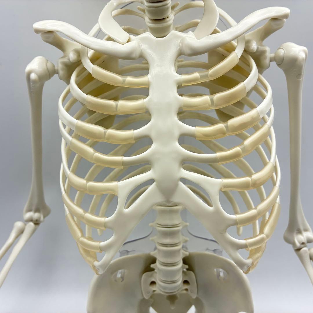 デアゴスティーニ　おしゃべりガイコツ　ホネッキー1～70